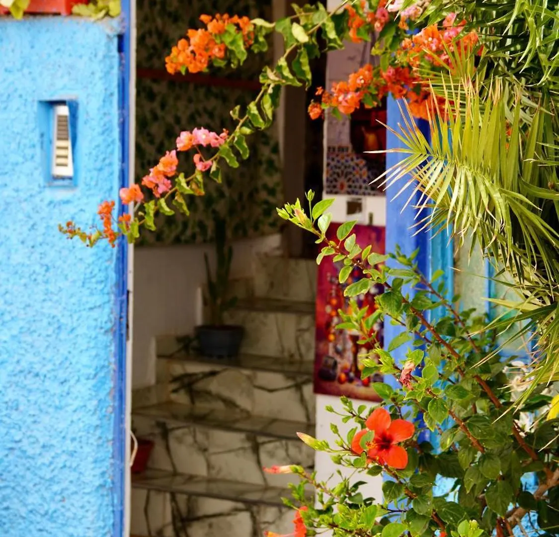 Dar Surf & Ocean Bed & Breakfast Agadir Morocco