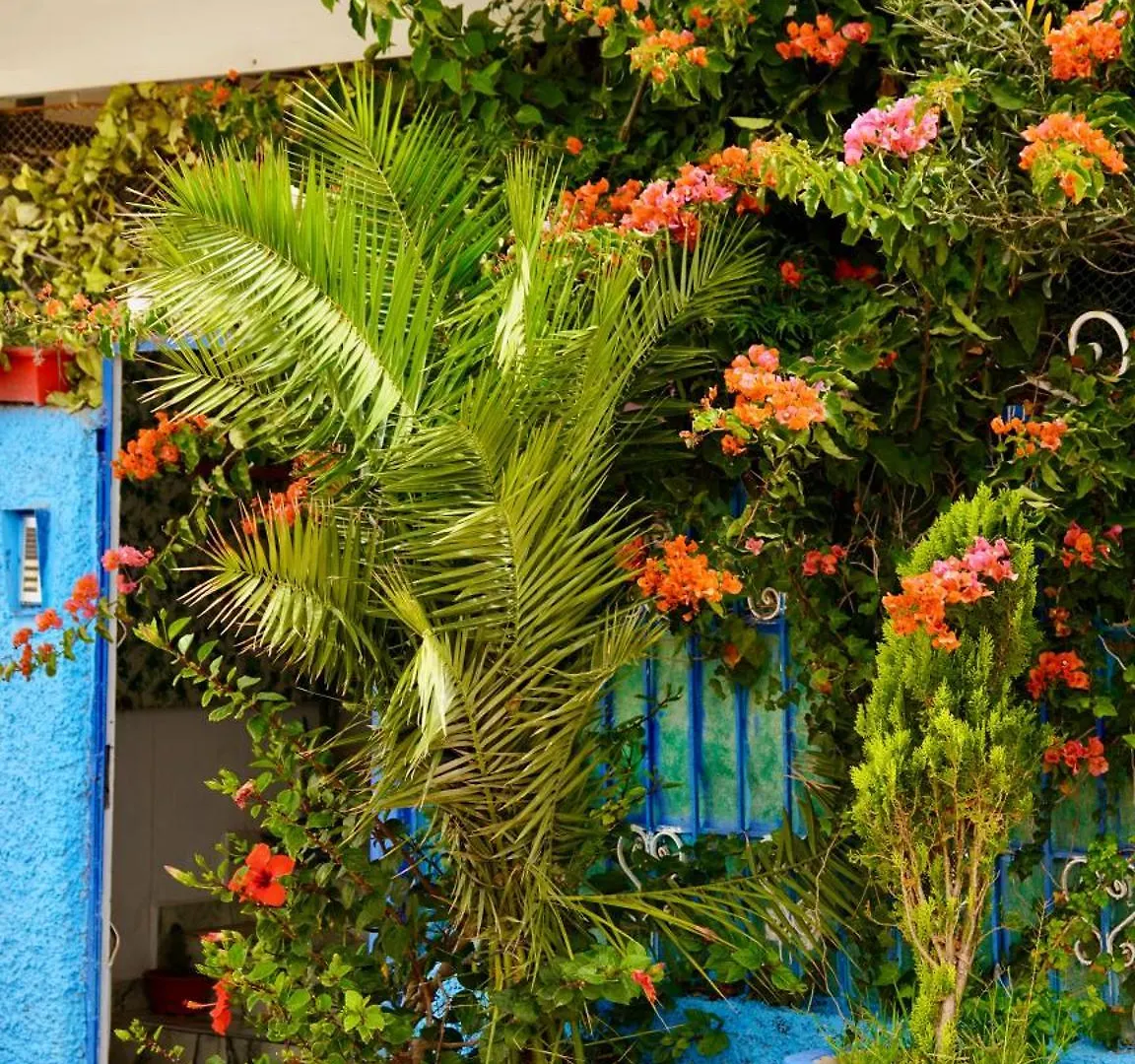 Dar Surf & Ocean Bed & Breakfast Agadir